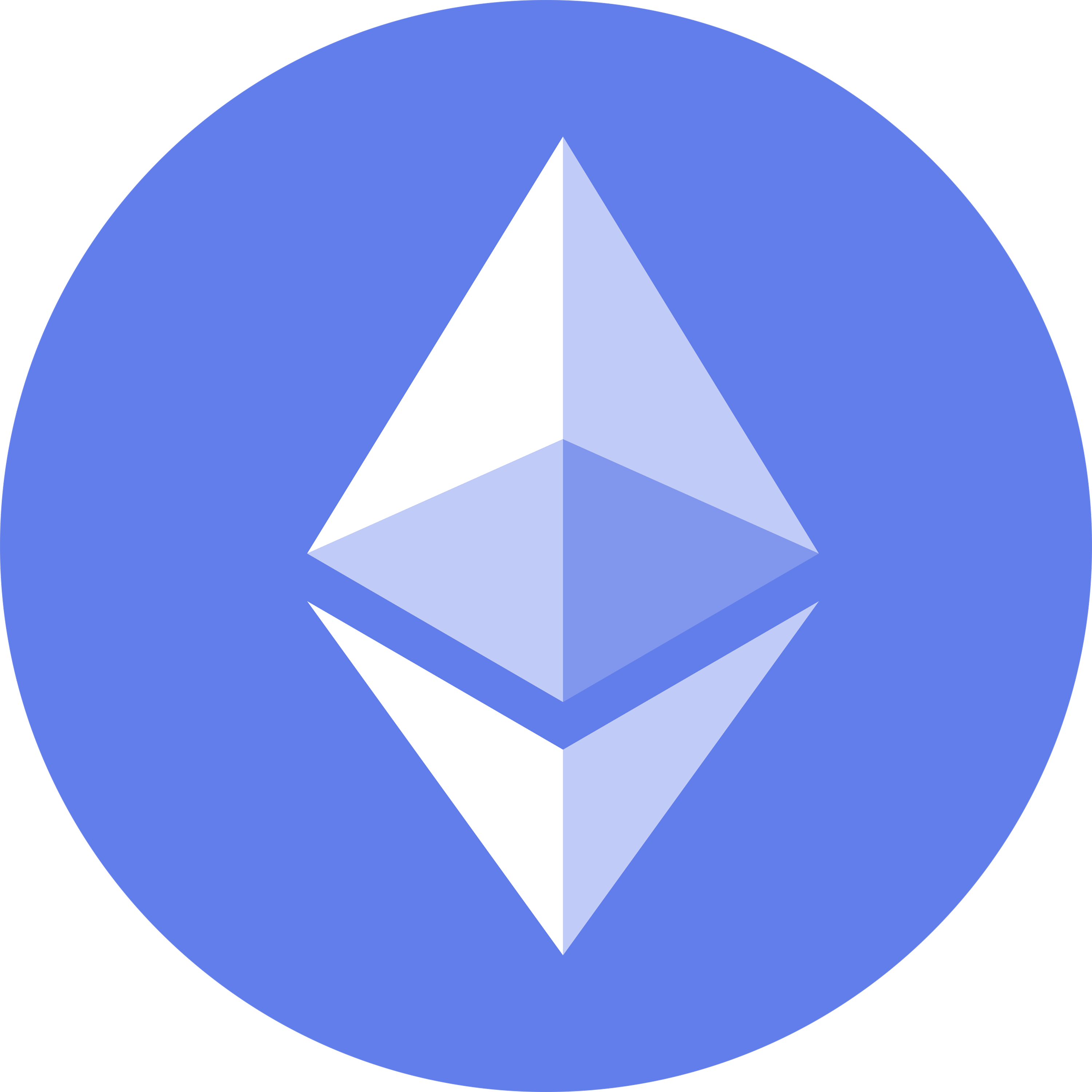 Vector Image